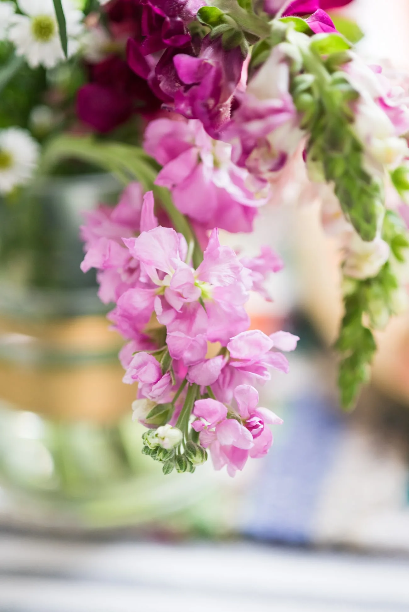 A CSA Inspired Farm to Table Dinner Party from entertaining blog @cydconverse | Click through for party recipes, entertaining tips, party ideas and more!