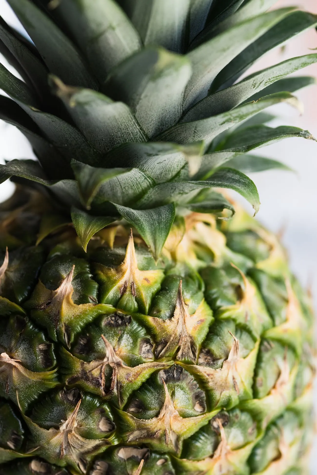 Mango Sunrise Piña Coladas from entertaining blog @cydconverse - Click through for entertaining tips, party ideas, recipes, cocktail recipes, party appetizers and more!