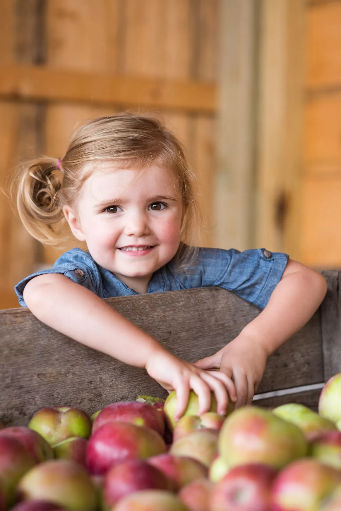 New York State Apple Picking | Visiting the Burrville Cider Mill | Where to go in New York for fall foliage from entertaining blog @cydconverse