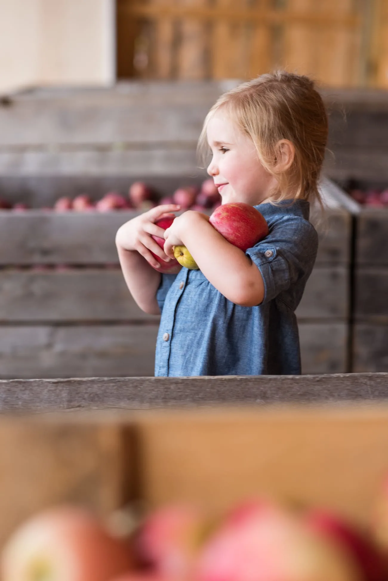 New York State Apple Picking | Visiting the Burrville Cider Mill | Where to go in New York for fall foliage from entertaining blog @cydconverse