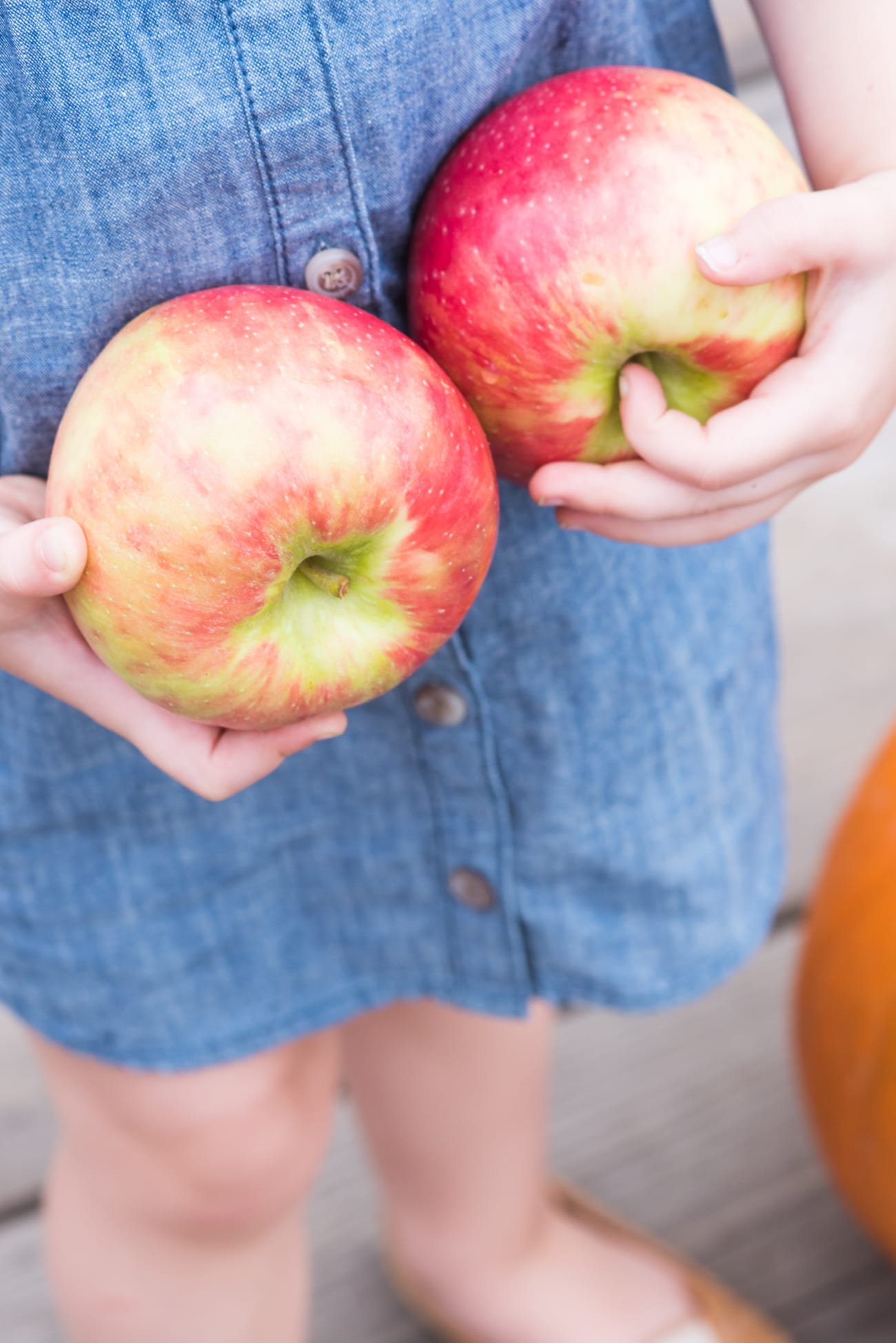 New York State Apple Picking | Visiting the Burrville Cider Mill | Where to go in New York for fall foliage from entertaining blog @cydconverse