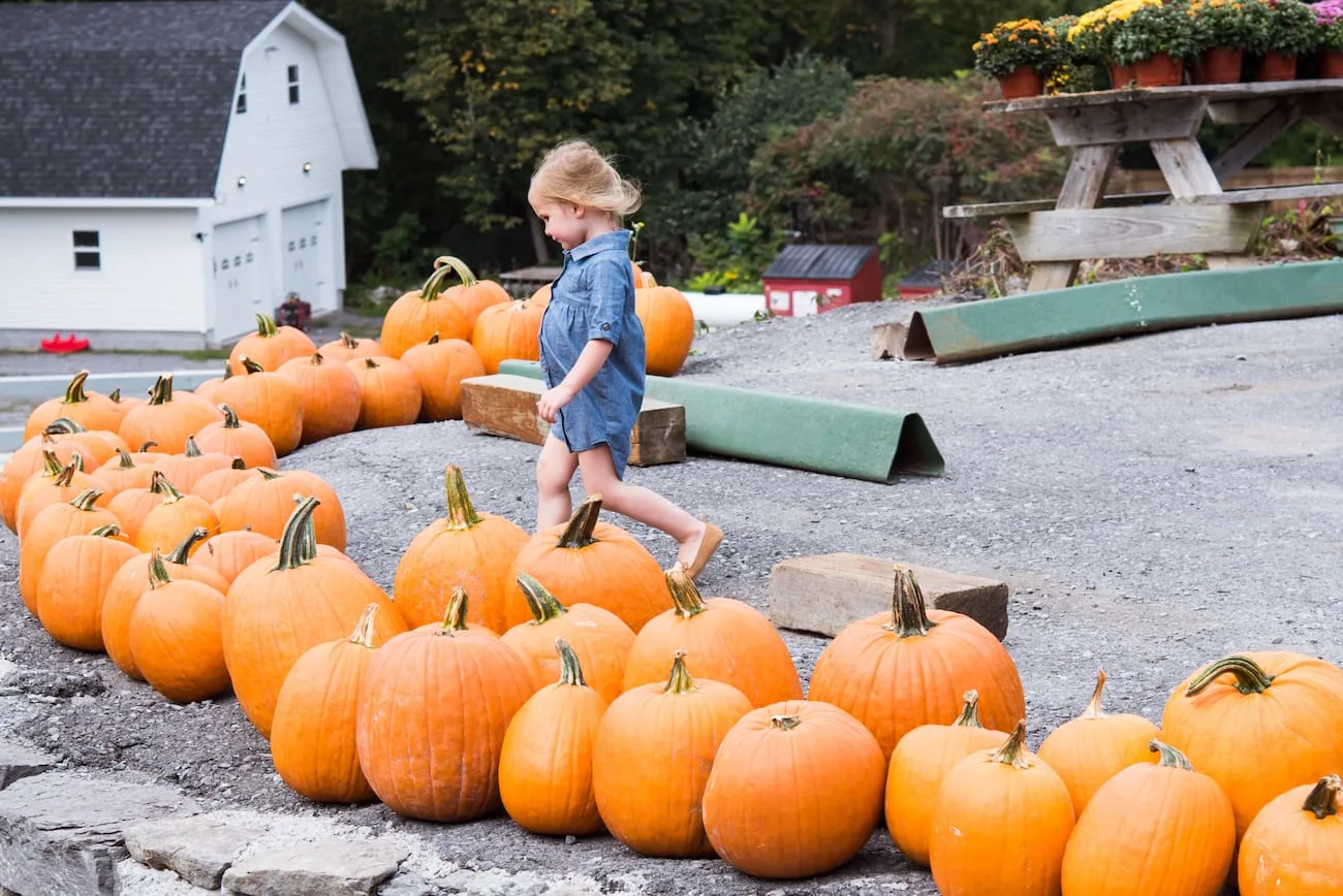 New York State Apple Picking | Visiting the Burrville Cider Mill | Where to go in New York for fall foliage from entertaining blog @cydconverse