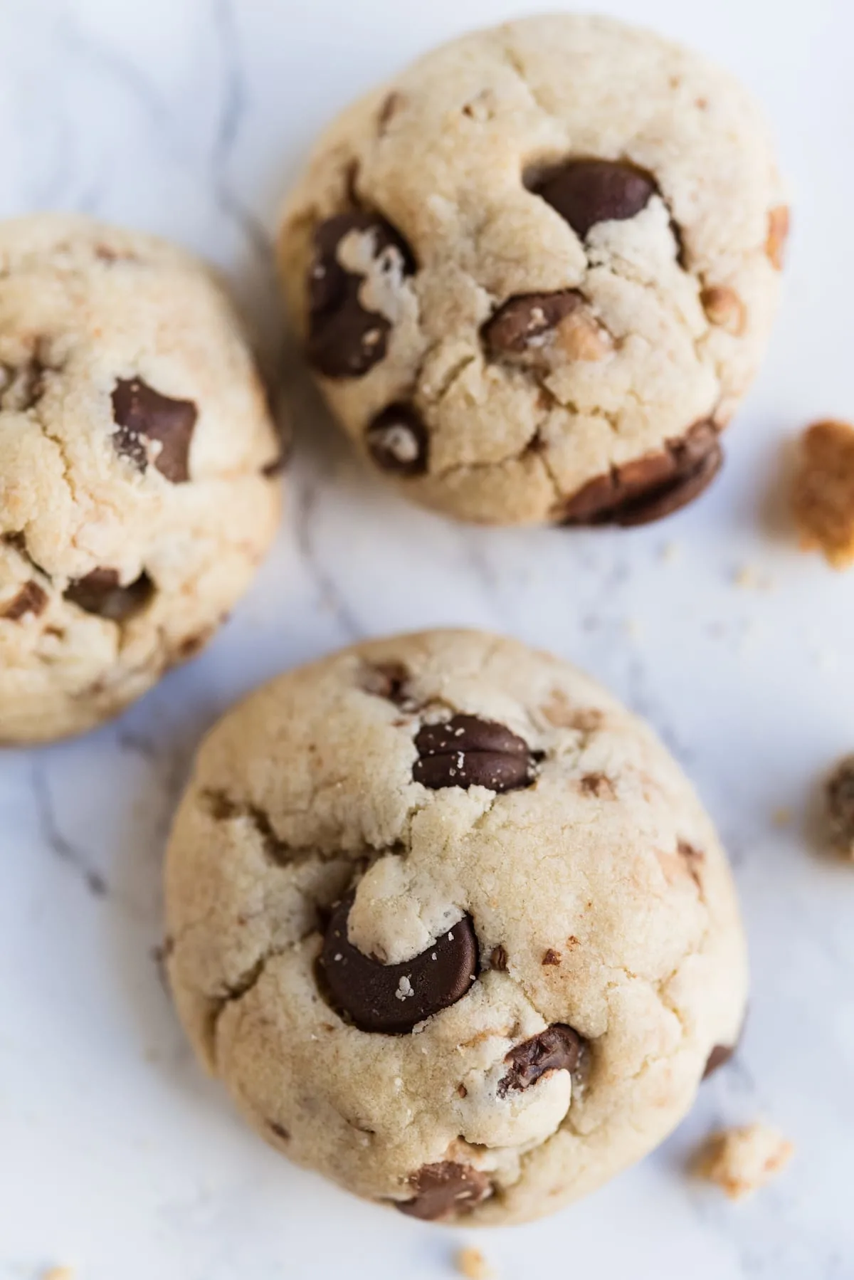 Dark Chocolate Chip Toffee Cookies with Pecans | Best Christmas cookie recipes, Christmas party ideas, and Christmas cocktail recipes from entertaining blog @cydconverse