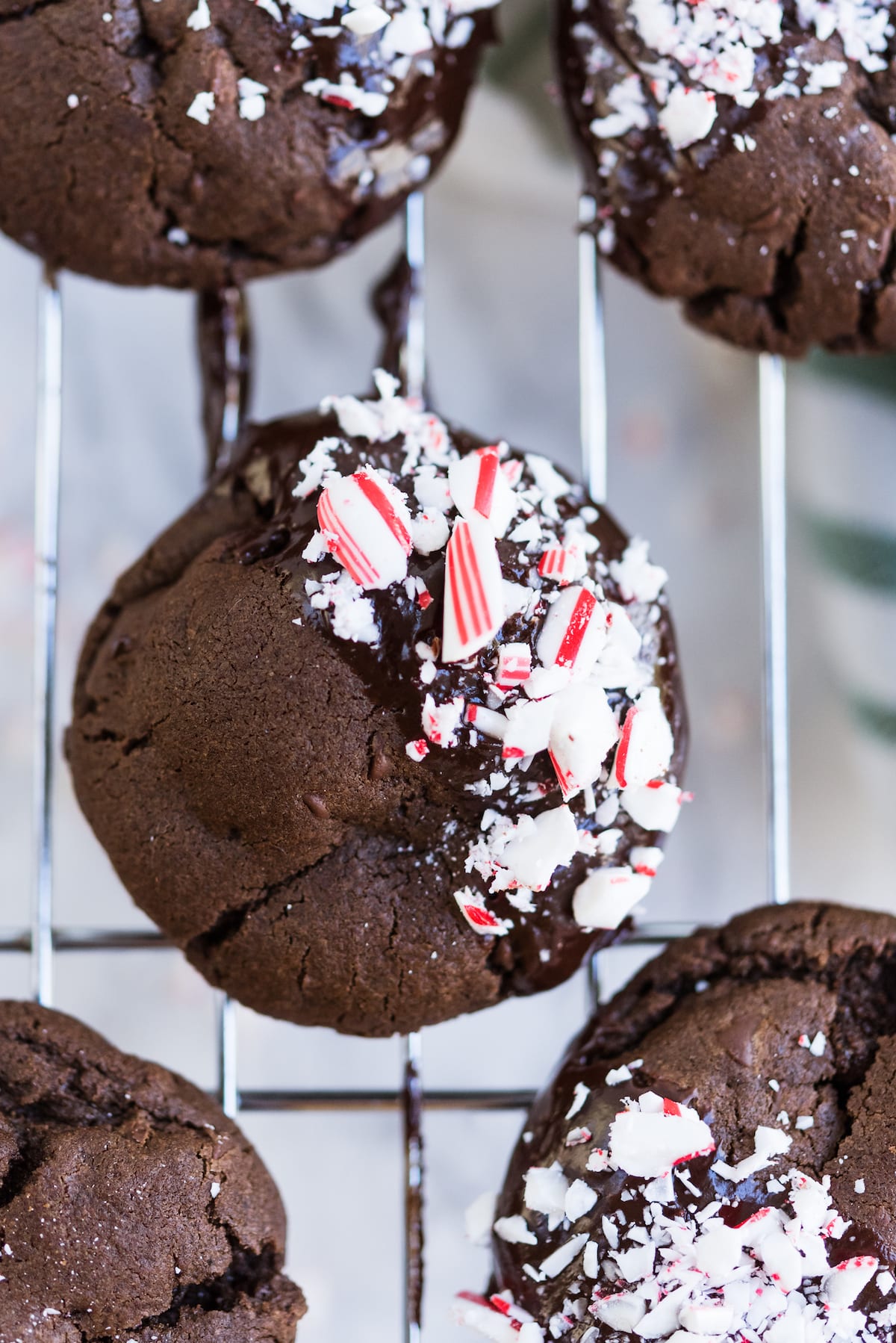 Fudge Dipped Double Chocolate Peppermint Cookies | Christmas cookie recipes, Christmas cocktails, Christmas party ideas and more from entertaining blog @cydconverse