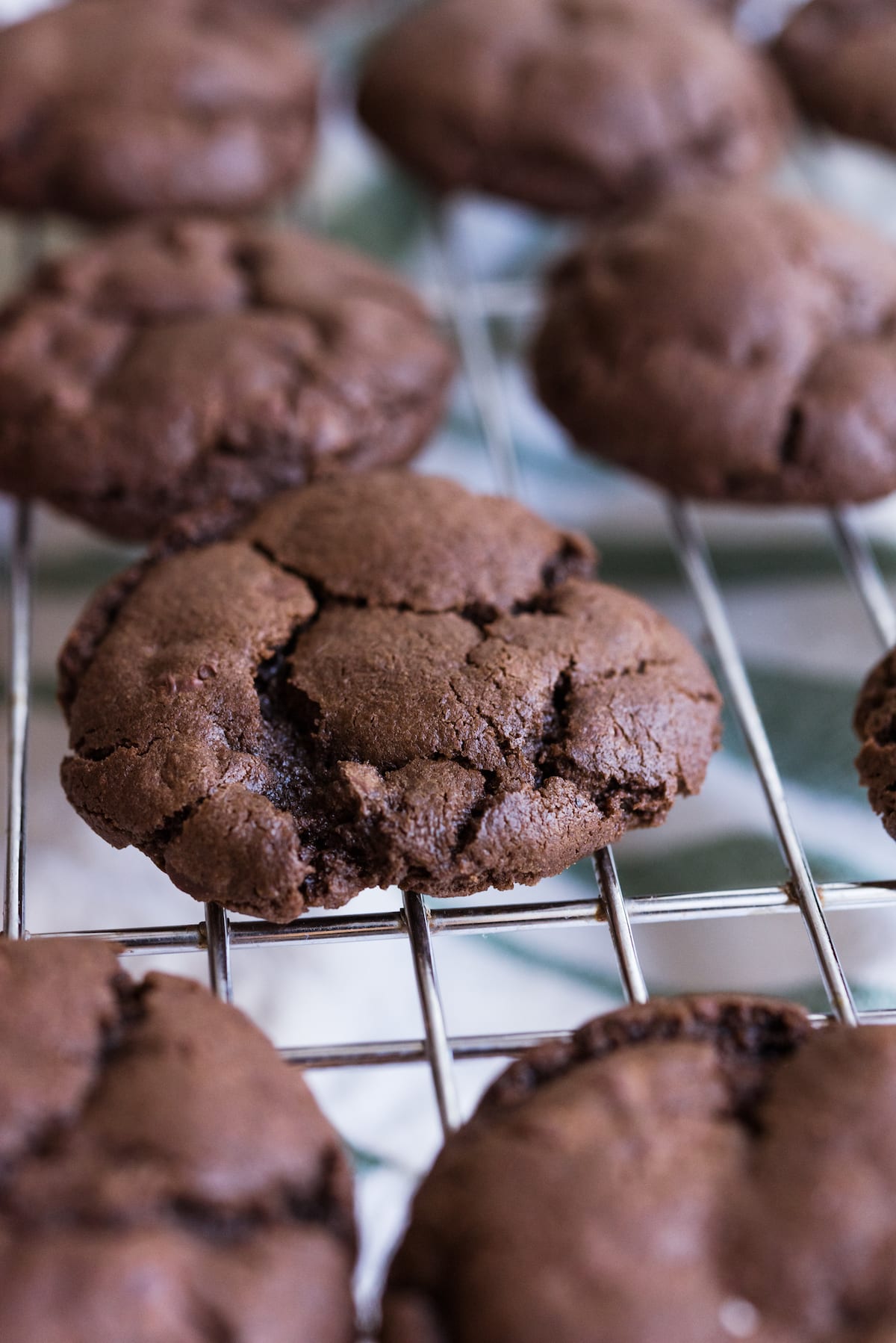 Fudge Dipped Double Chocolate Peppermint Cookies | Christmas cookie recipes, Christmas cocktails, Christmas party ideas and more from entertaining blog @cydconverse