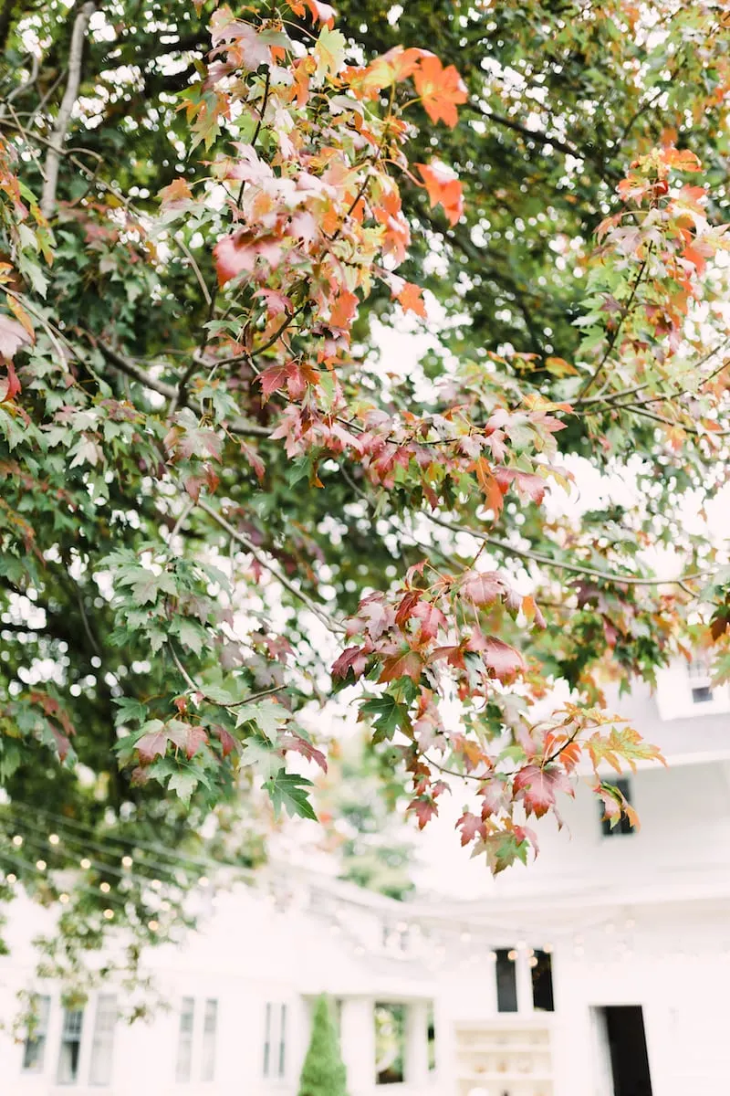 The Sweetest Occasion | Fall Backyard Wedding Ideas