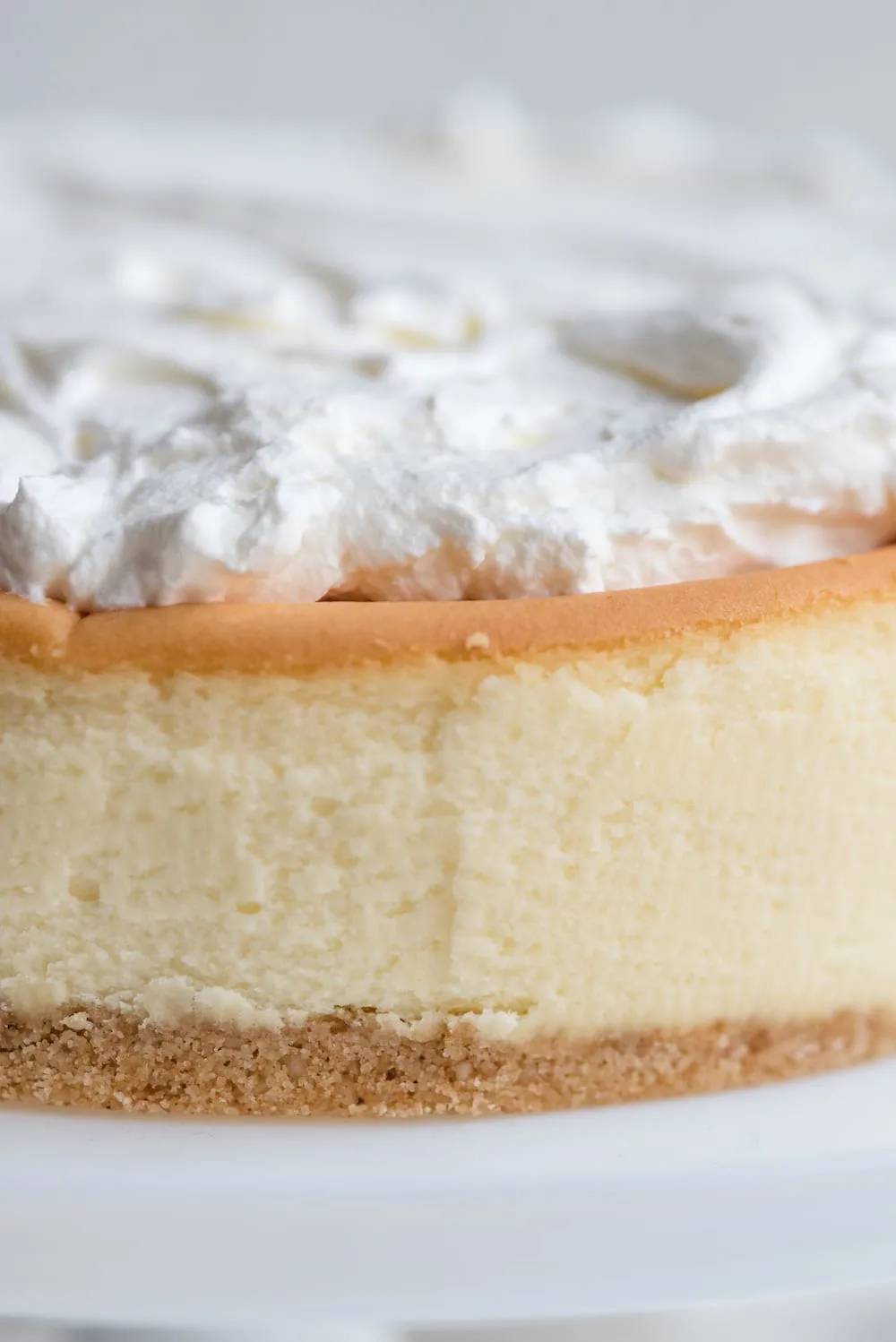 The Easiest Christmas Cheesecake Hack