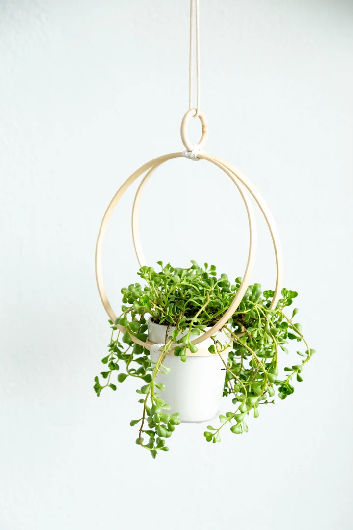 DIY Gifts for Mom: DIY Hanging Planter