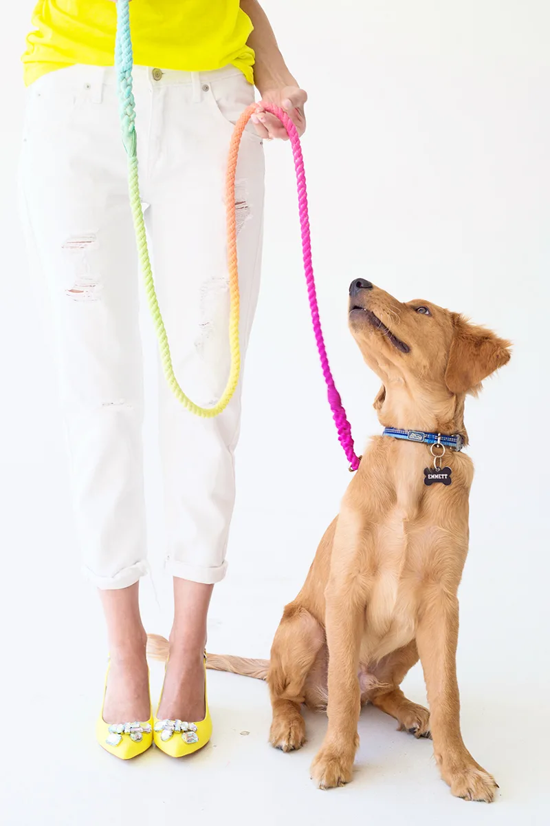 DIY Gifts for Mom: DIY Dog Leash