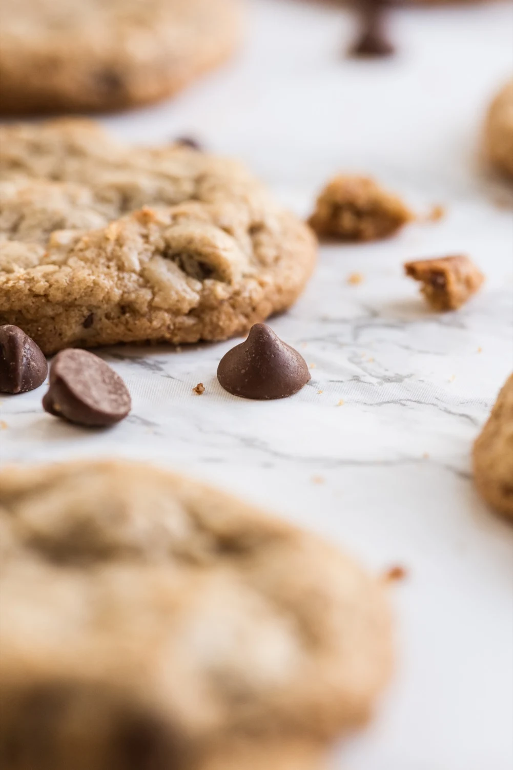 Oatmeal Chocolate Chip Cookie Recipe